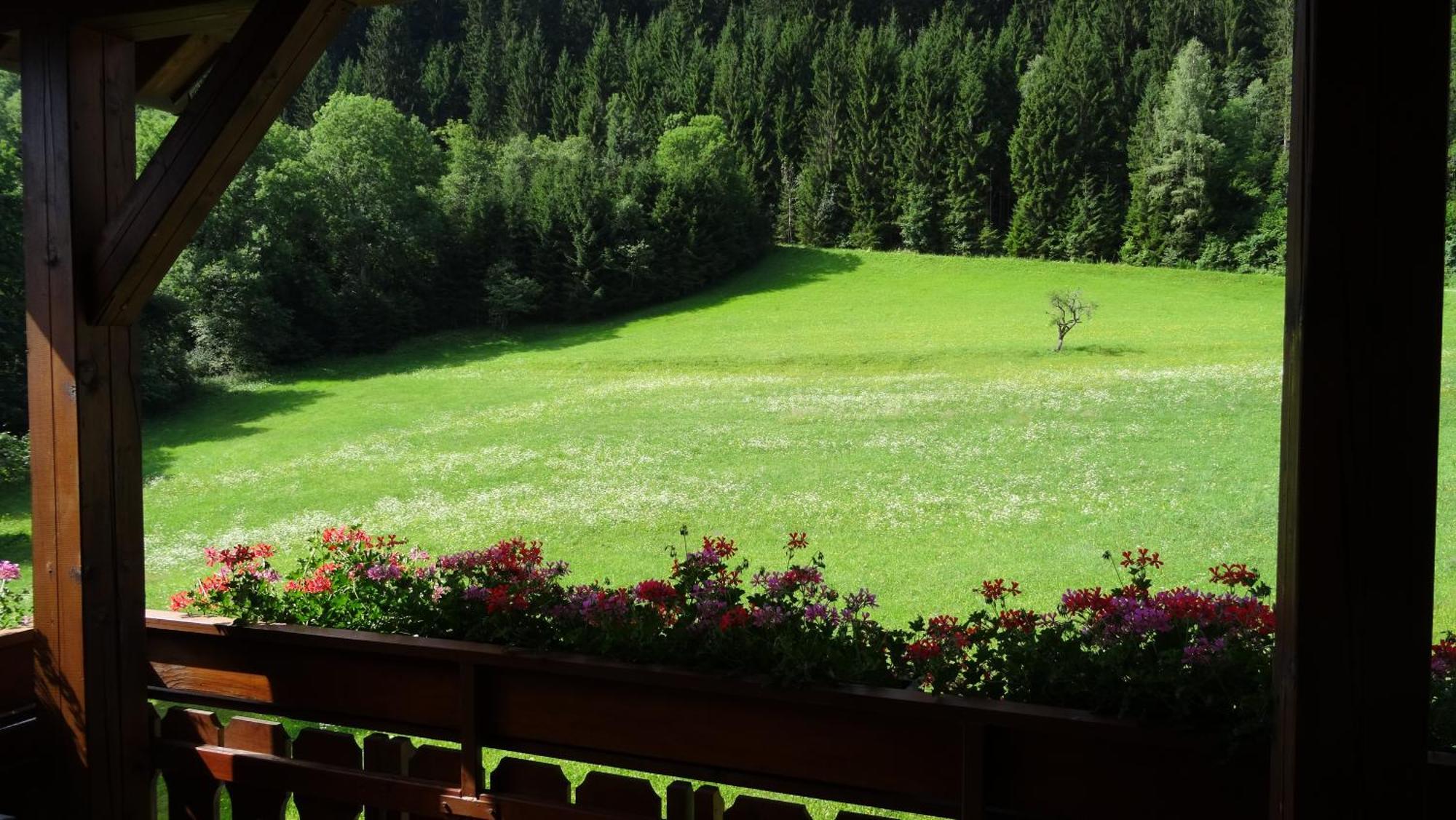 Ferienhaus Enzi Weissbriach Bagian luar foto